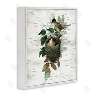 Susan Arnot | Birds in Vintage Nest