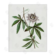 CAD Designs | Vintage Circular Bloom