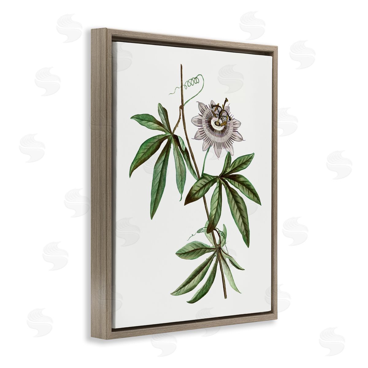 Vintage Circular Bloom Brown Floating Frame Canvas Wall Art, Home Decor by CAD Designs