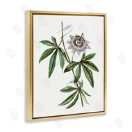 CAD Designs | Vintage Circular Bloom