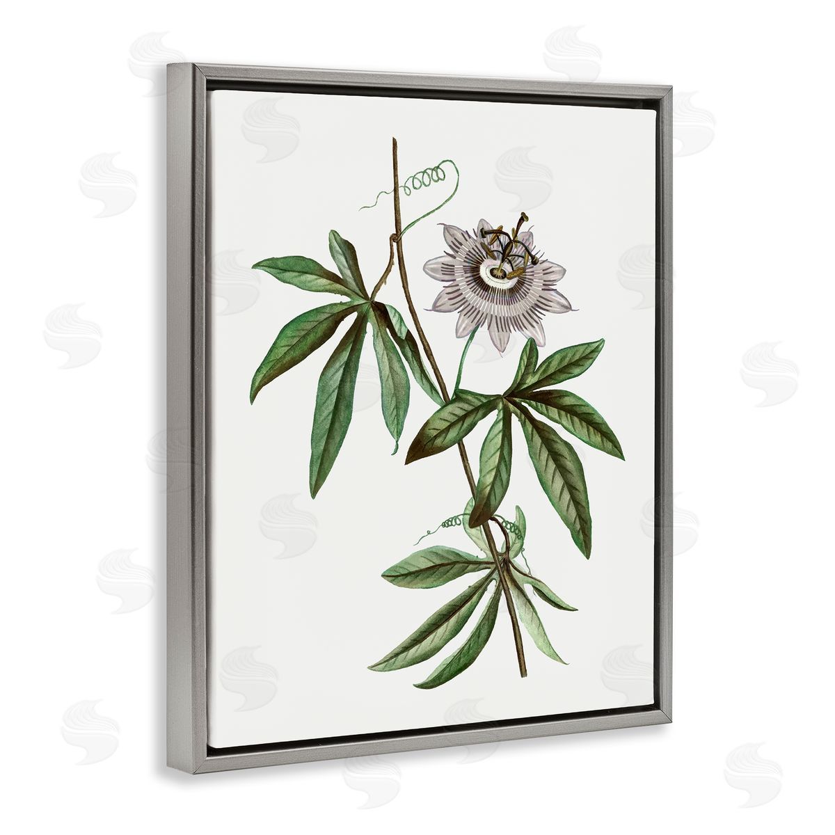Vintage Circular Bloom Grey Floating Frame Canvas Wall Art, Home Decor by CAD Designs