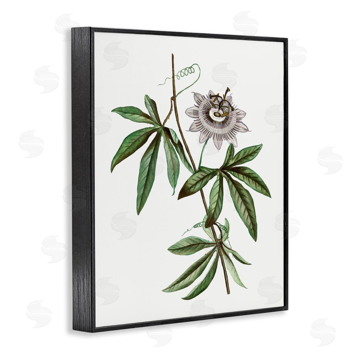 Vintage Circular Bloom Black Frame Print Wall Art, Home Decor by CAD Designs