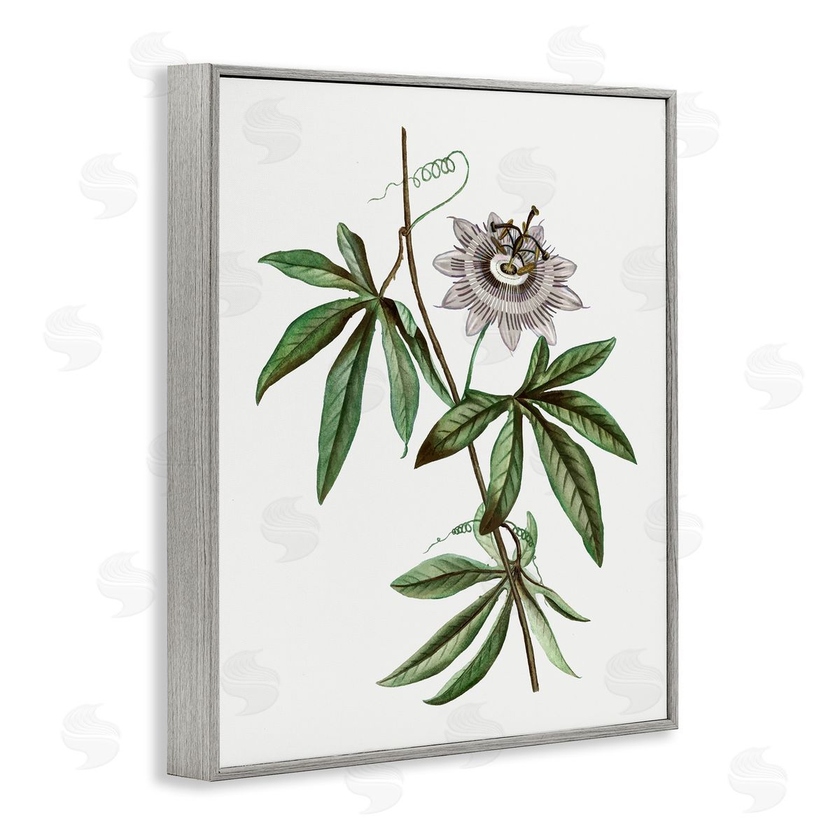 Vintage Circular Bloom Grey Frame Print Wall Art, Home Decor by CAD Designs