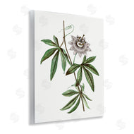 CAD Designs | Vintage Circular Bloom