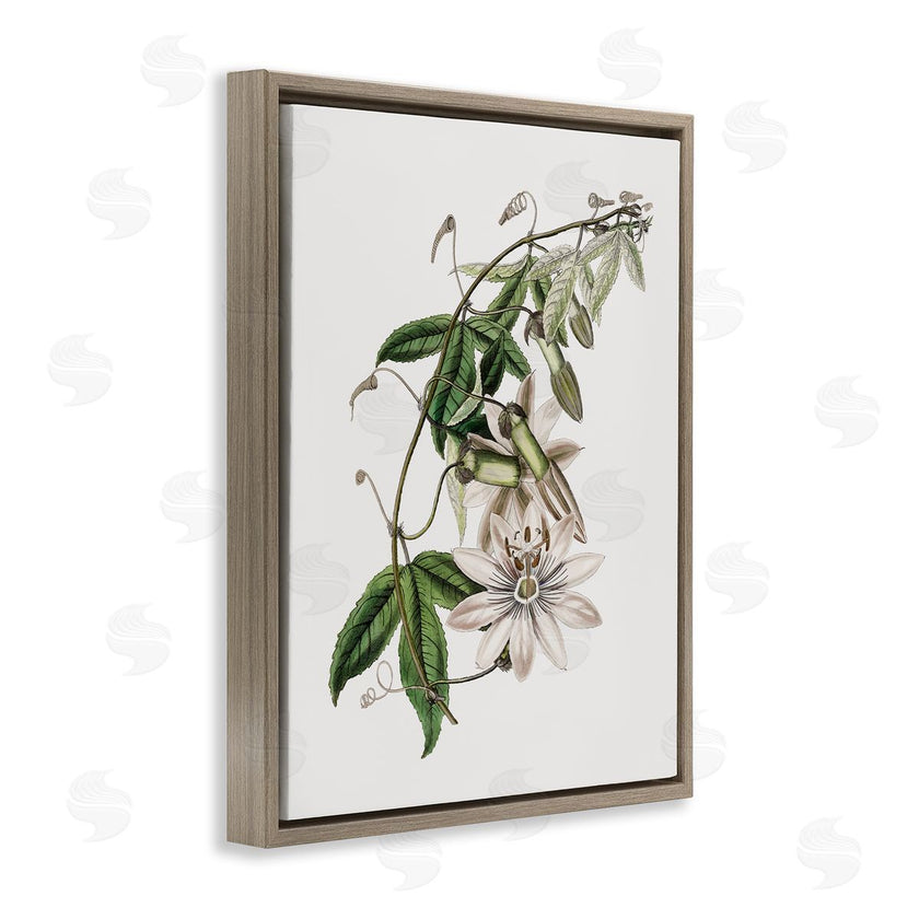 CAD Designs | Vintage Lily Plant
