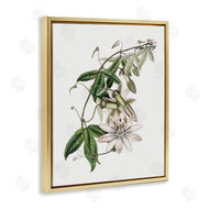 CAD Designs | Vintage Lily Plant
