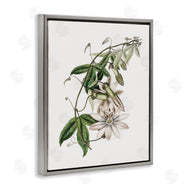 CAD Designs | Vintage Lily Plant