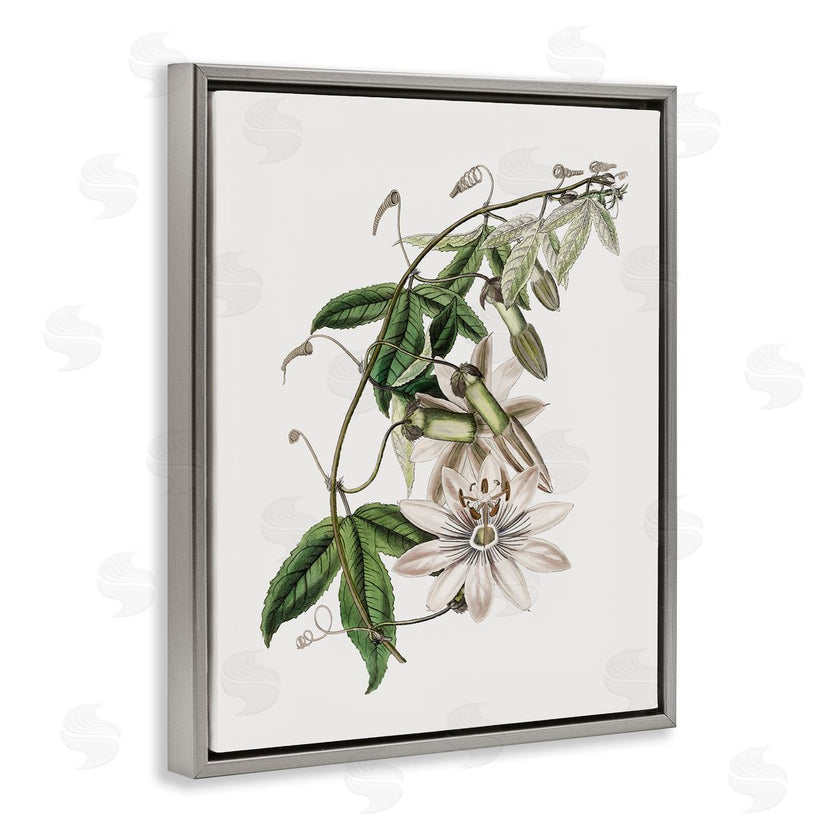 CAD Designs | Vintage Lily Plant