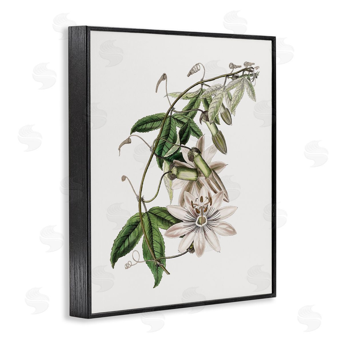 Vintage Lily Plant Black Frame Print Wall Art, Home Decor by CAD Designs