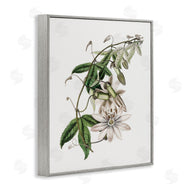 CAD Designs | Vintage Lily Plant