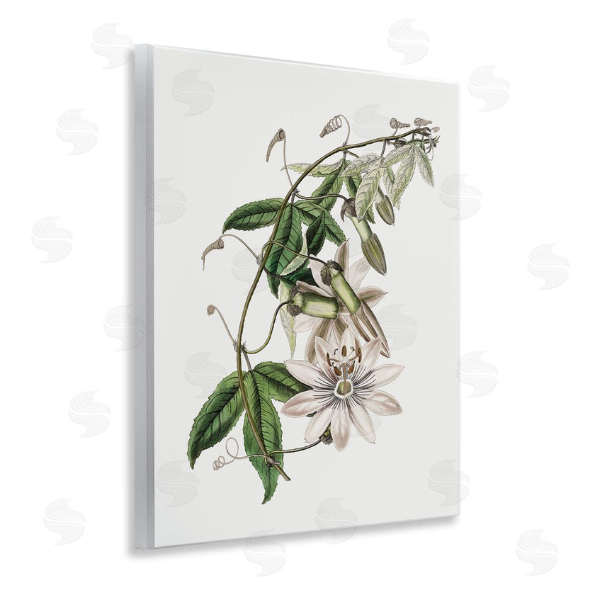 CAD Designs | Vintage Lily Plant