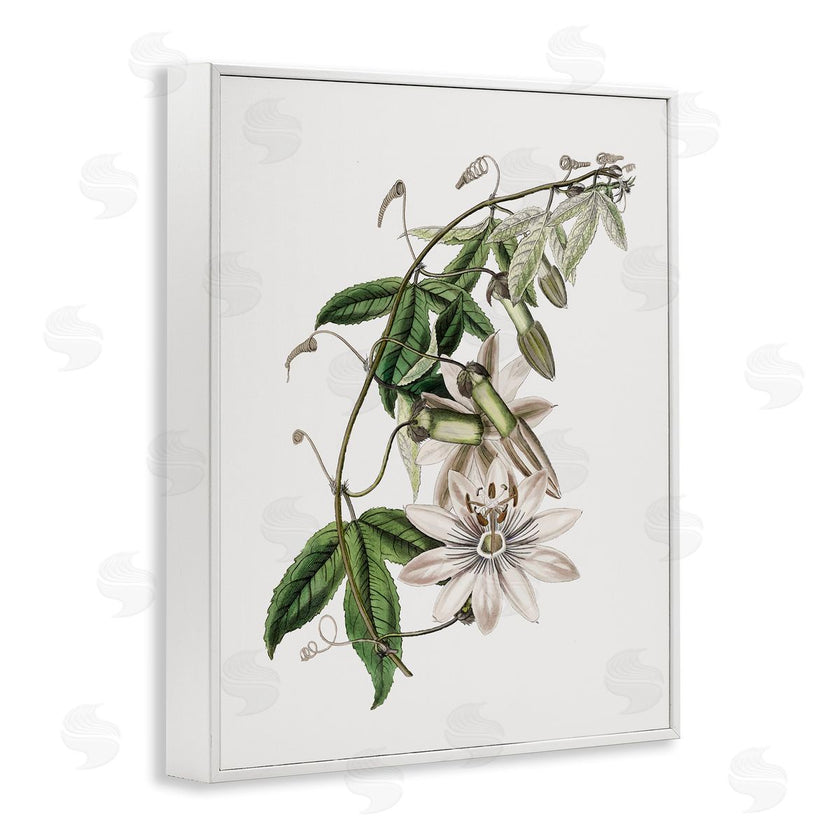 CAD Designs | Vintage Lily Plant