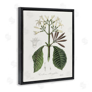 CAD Designs | Vintage Flora Study
