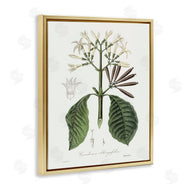 CAD Designs | Vintage Flora Study