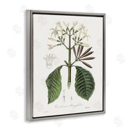 CAD Designs | Vintage Flora Study