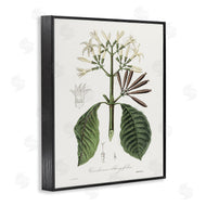 CAD Designs | Vintage Flora Study