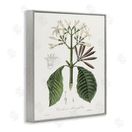 CAD Designs | Vintage Flora Study