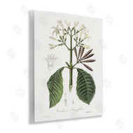 CAD Designs | Vintage Flora Study