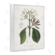 CAD Designs | Vintage Flora Study