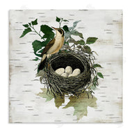 Susan Arnot | Vintage Bird Nest & Flora