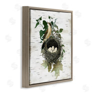 Susan Arnot | Vintage Bird Nest & Flora