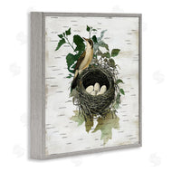 Susan Arnot | Vintage Bird Nest & Flora