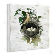 Susan Arnot | Vintage Bird Nest & Flora