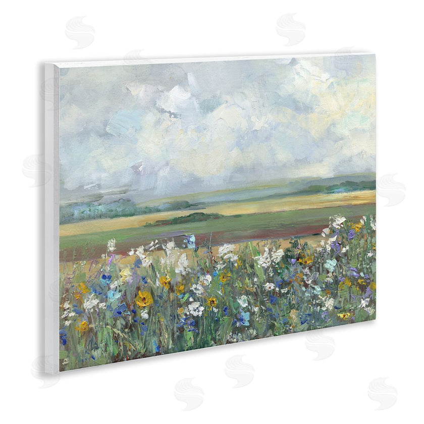 Sally Swatland | County Meadow Clouds Overhead