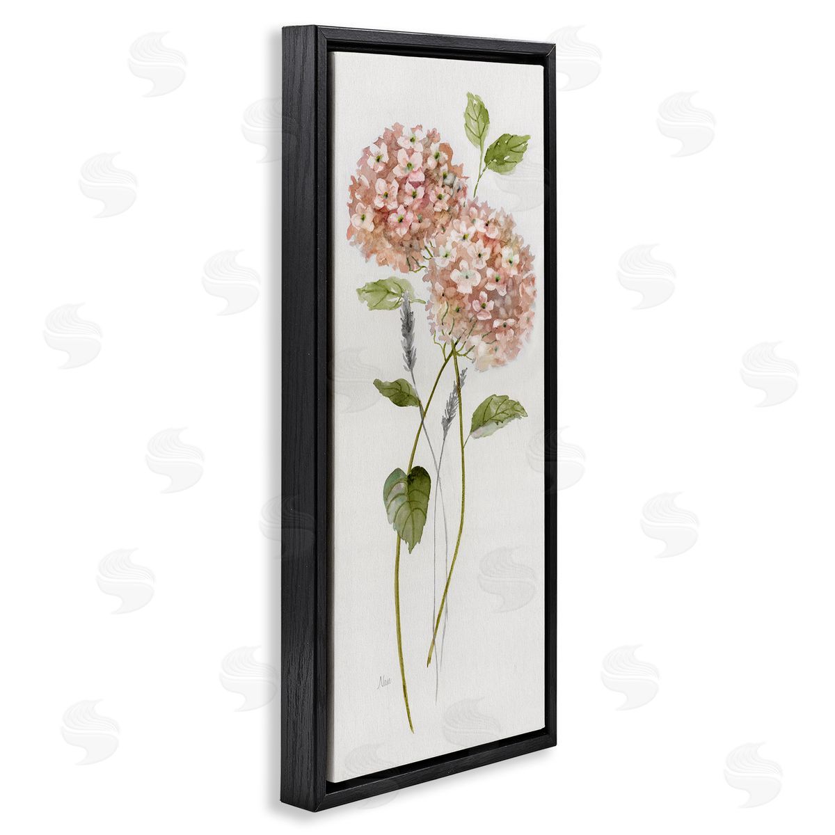 Two Pink Hydrangeas Black Floating Frame Canvas Wall Art, Home Decor by Nan