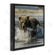 Danita Delimont | Bear Splashing in River