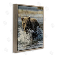 Danita Delimont | Bear Splashing in River
