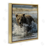 Danita Delimont | Bear Splashing in River