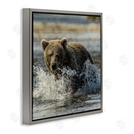 Danita Delimont | Bear Splashing in River
