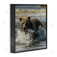 Danita Delimont | Bear Splashing in River