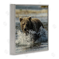 Danita Delimont | Bear Splashing in River