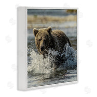 Danita Delimont | Bear Splashing in River