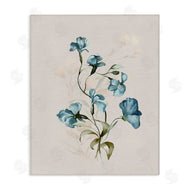 Susan Jill | Blue Flower Herbs