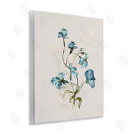 Susan Jill | Blue Flower Herbs