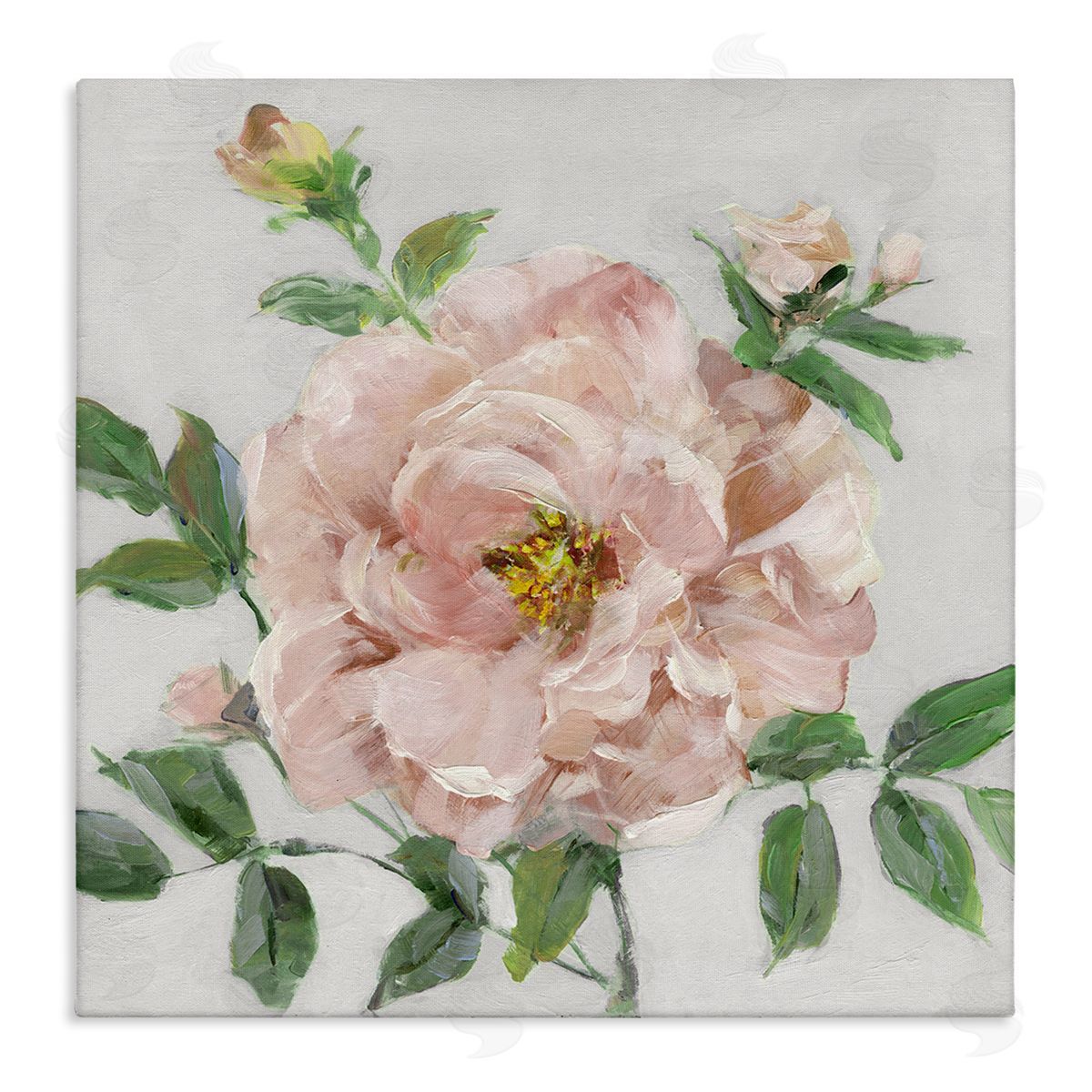 Pink Carnation Blossom Canvas Wall Art, Home Decor by Sally Swatland