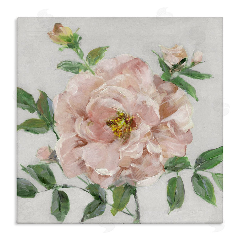 Sally Swatland | Pink Carnation Blossom
