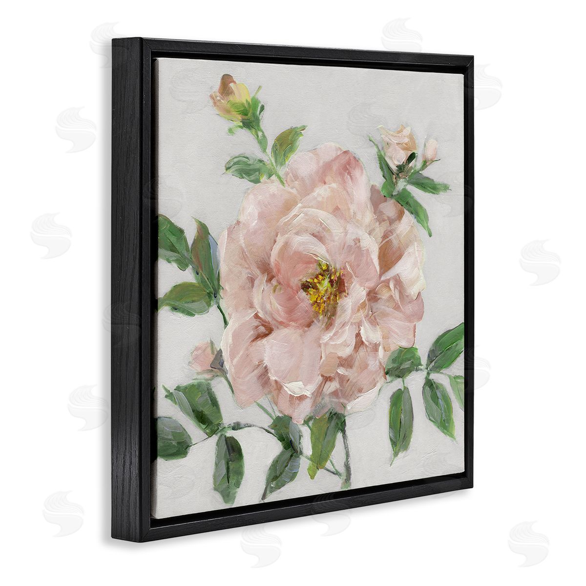 Pink Carnation Blossom Black Floating Frame Canvas Wall Art, Home Decor by Sally Swatland