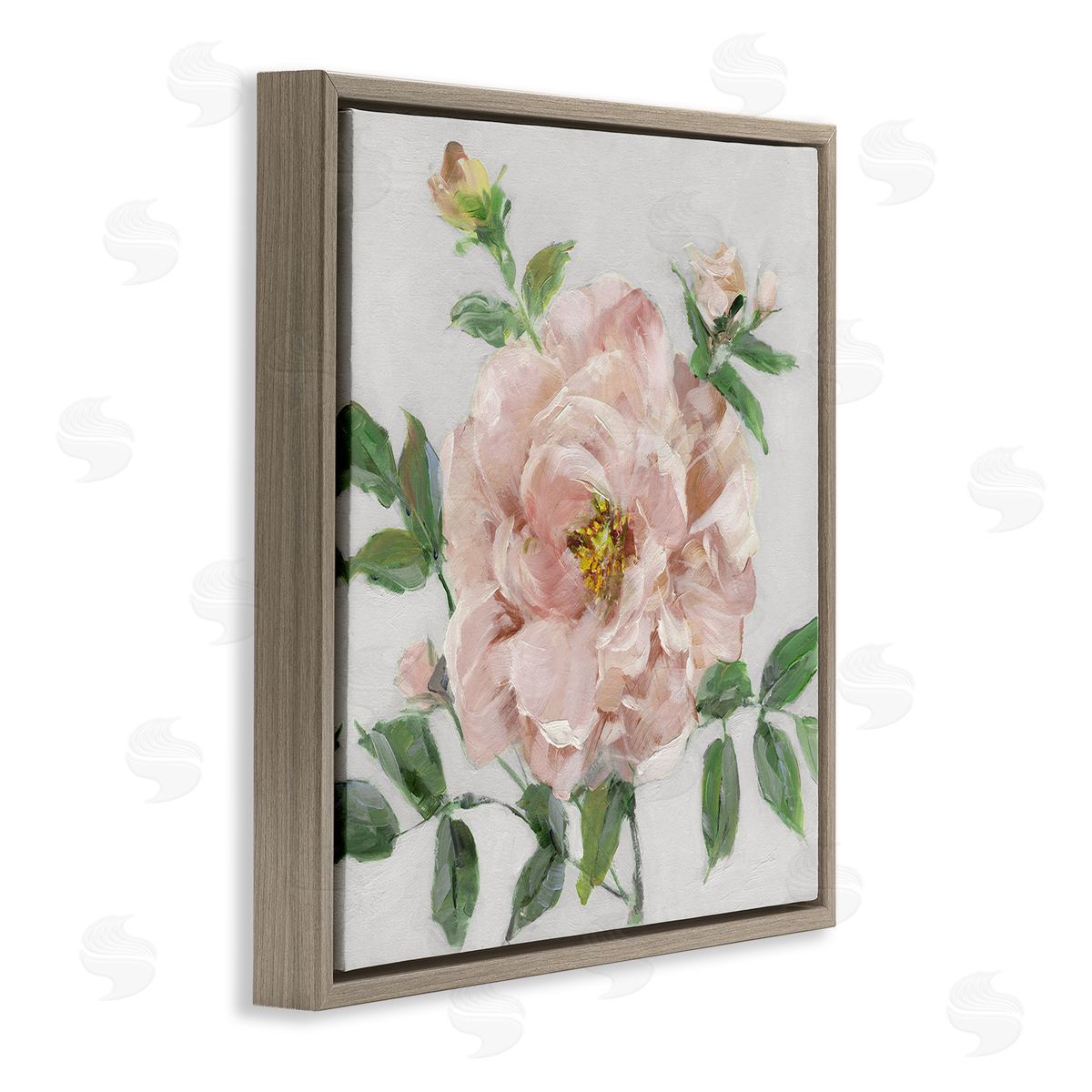 Pink Carnation Blossom Brown Floating Frame Canvas Wall Art, Home Decor by Sally Swatland