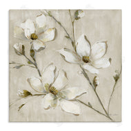 Sally Swatland | Neutral Dogwood Branches