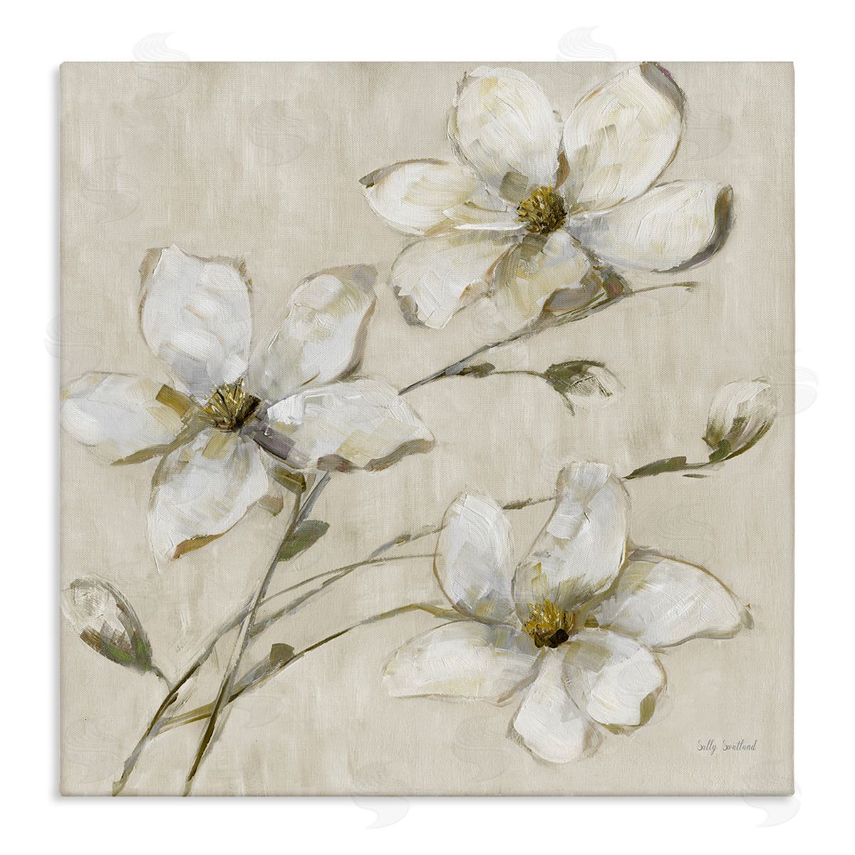 Neutral Tone Dogwood Flowers Canvas Wall Art, Home Decor by Sally Swatland
