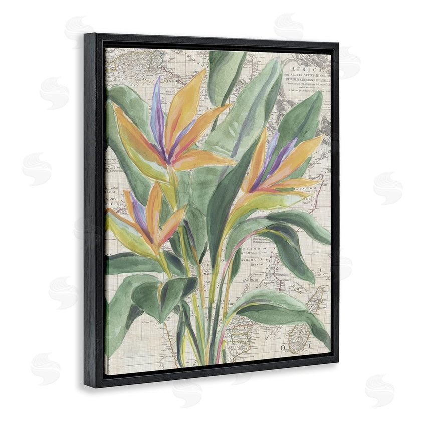 June Erica Vess | Bird of Paradise over Map