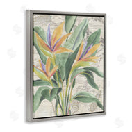June Erica Vess | Bird of Paradise over Map