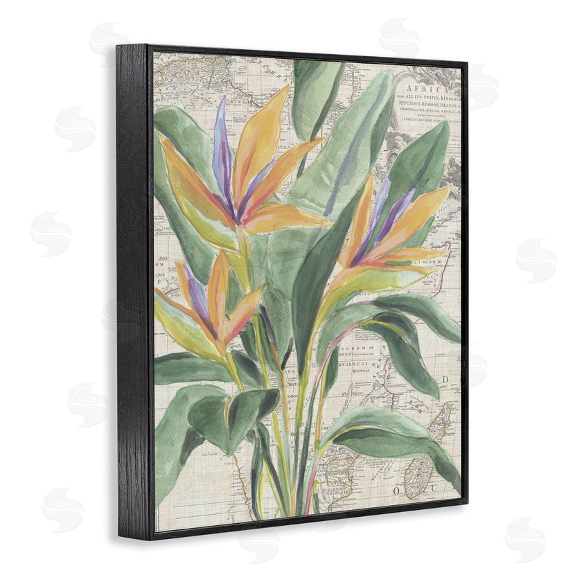 June Erica Vess | Bird of Paradise over Map