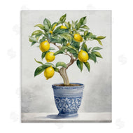 Kim Allen | Traditional Potted Lemon Tree