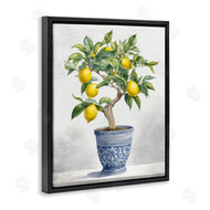 Kim Allen | Traditional Potted Lemon Tree
