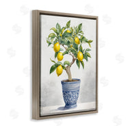 Kim Allen | Traditional Potted Lemon Tree